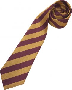 Harry Potter First Year Gryffindor Tie
