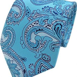 Mens Paisley Woven Neck Tie (Baby Blue)