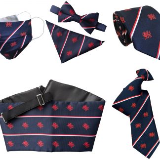 Navy Blue Welsh Dragon Ties Clip On Ties and Bows Ties Cymru Wales
