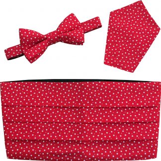 Christmas Red Stars and Snow Cummerbund Bow Tie Set