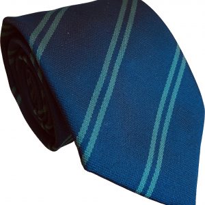 Navy Blue and Dark Green Double Stripe School Tie
