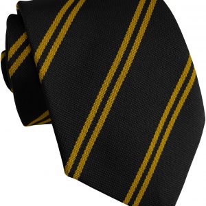 Black and Gold Double Stripe High School Tie School age 11-16 years