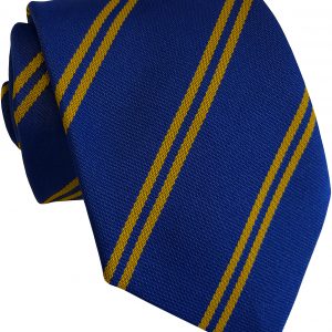 Royal Blue and Gold Double Stripe School Ties and Clip On Ties – All Ages