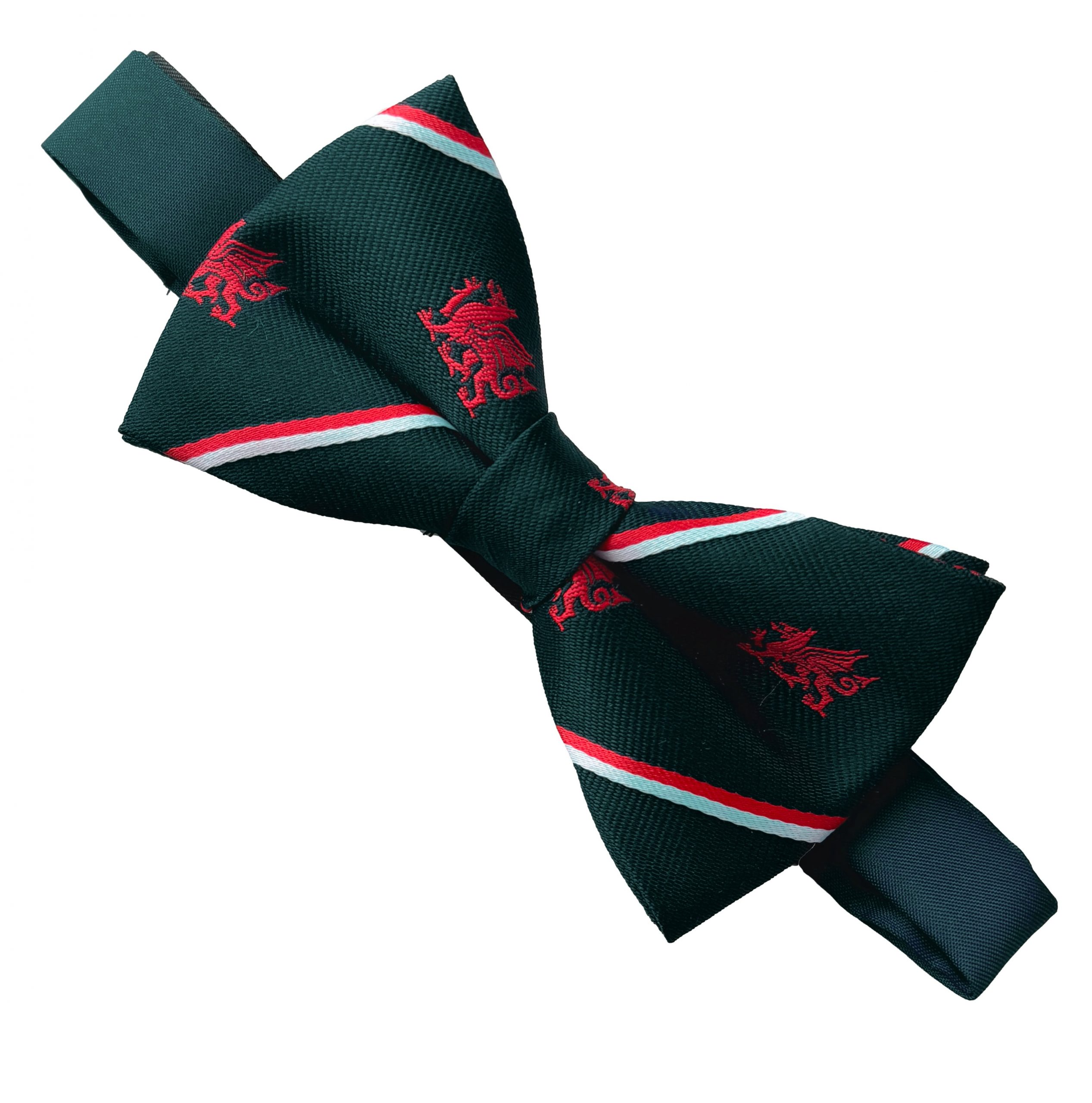 Bottle Green Welsh Dragon Ties Clip On Ties and Bows Ties Cymru Wales - Picture 6 of 6