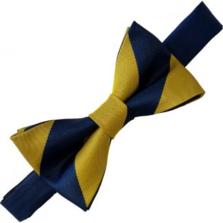 Princess of Wales Regiment (POWR) Regimental (Ready Tied) Bow Tie