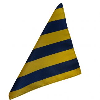 Princess of Wales Royal Regiment (PWRR) Regimental 8 inch Hanky Pocket Square