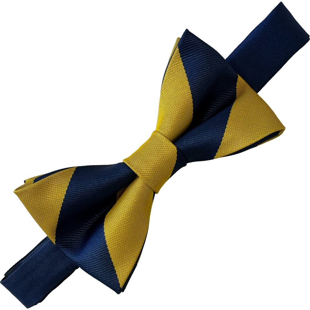 Princess of Wales Regiment (POWRR) Regimental (Ready Tied) Bow Tie