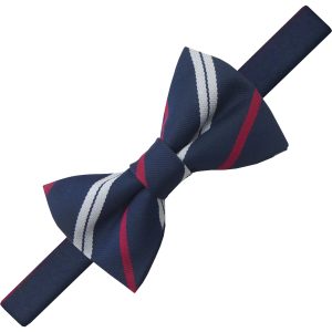 Royal Corps of Transport (RCOT) Regimental (Ready Tied) Bow Tie