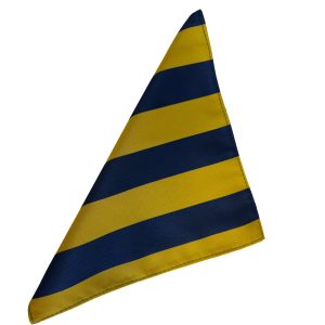 Princess of Wales Royal Regiment (PWRR) Regimental 8 inch Hanky Pocket Square