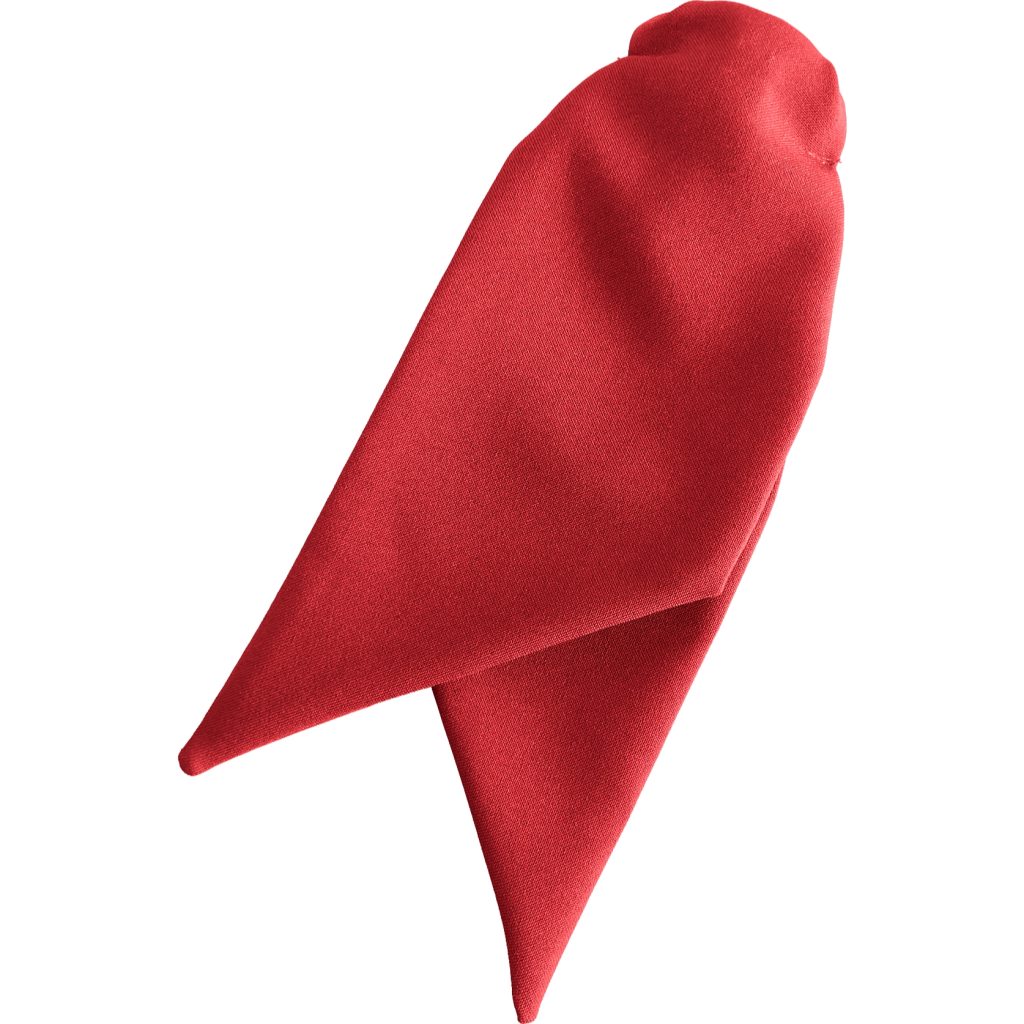 Matt Red Ladies Clip Cravat