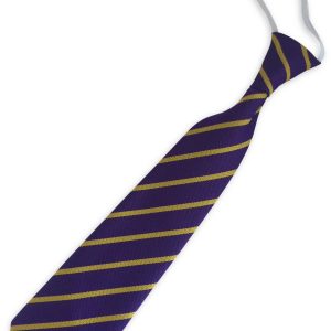 Purple and Gold Single Narrow Stripe Infant Elastic School Tie