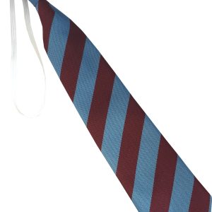 Sky Blue and Maroon Block Infant School Elastic Tie