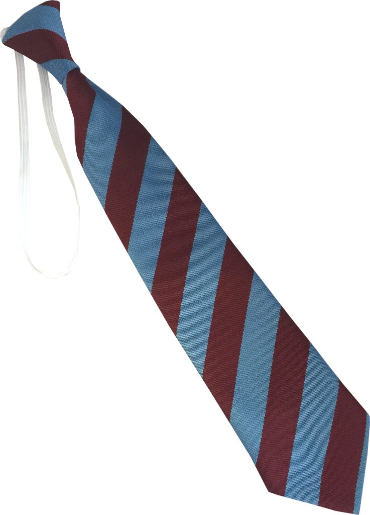 Sky Blue and Maroon Block Infant School Elastic Tie