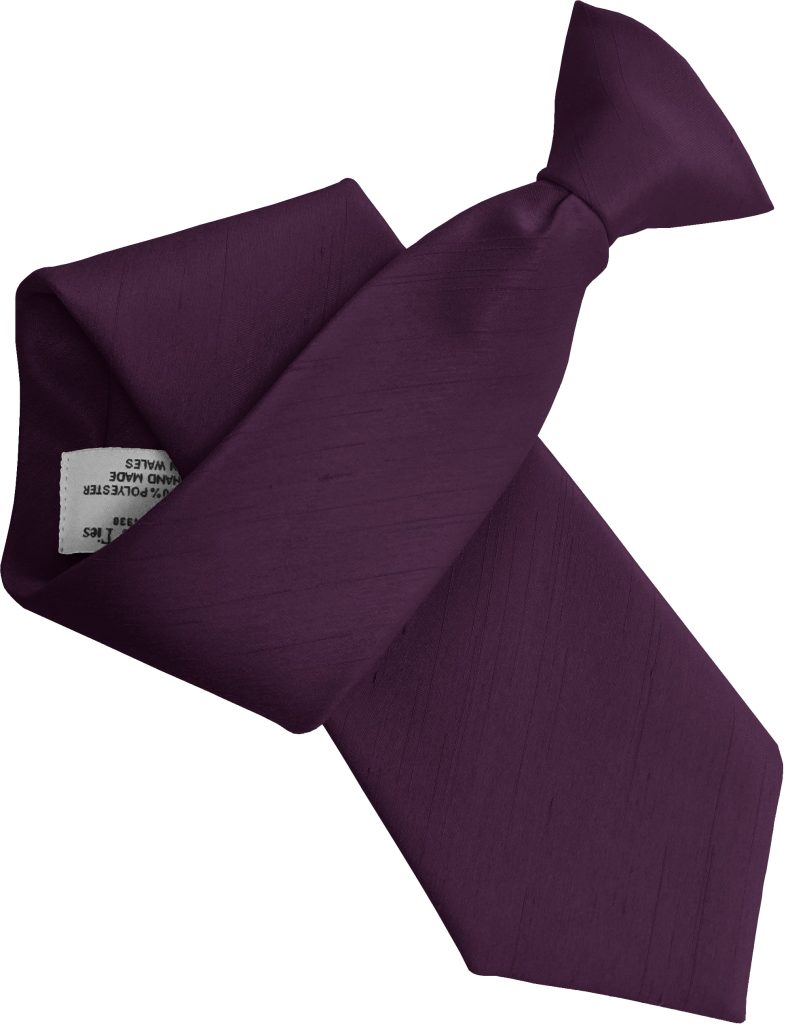 Prune Purple Dupion Clip On Tie