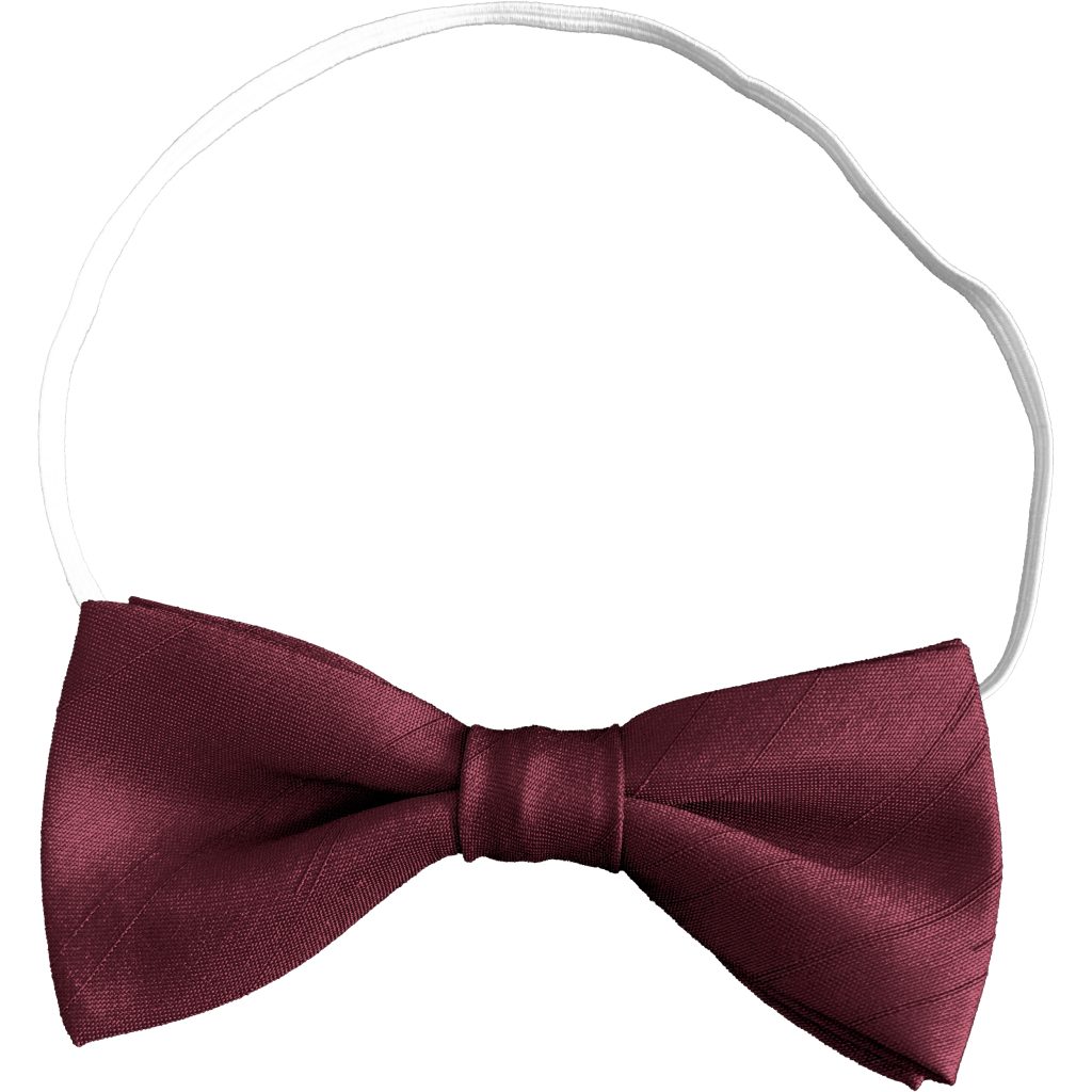 Dark Wine Dupion Toddler Elastic Bow Tie