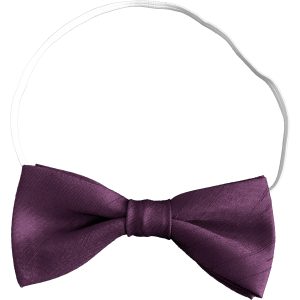Prune Purple Dupion Toddler Elastic Bow Tie