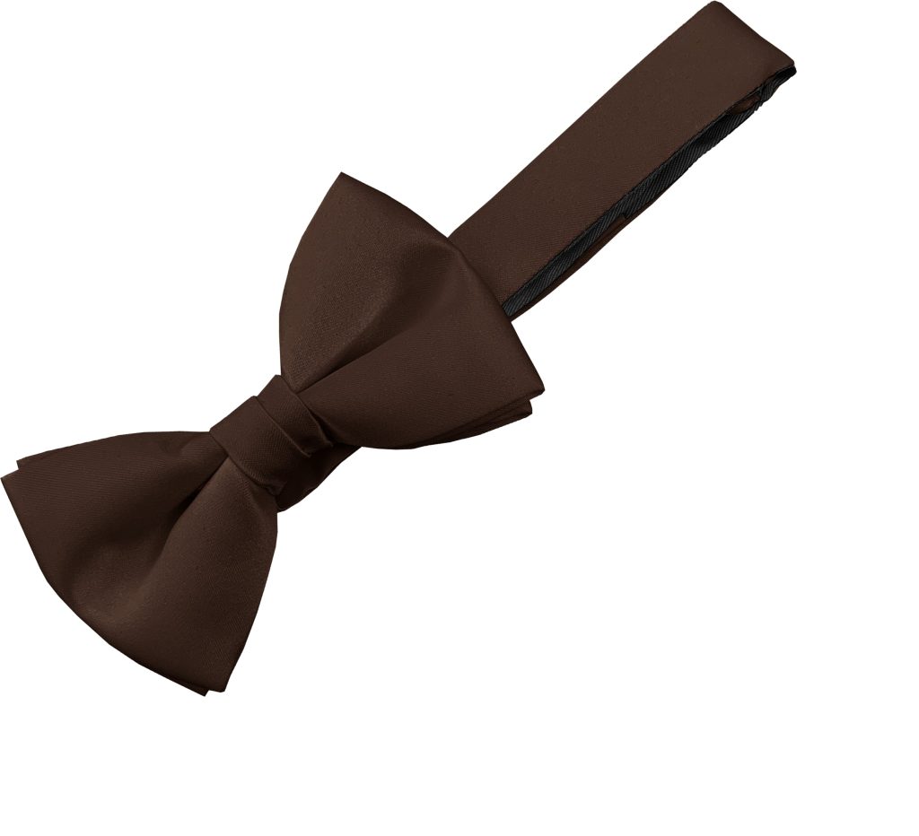 Satin Brown Bow Tie