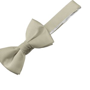 Satin Champagne Bow Tie