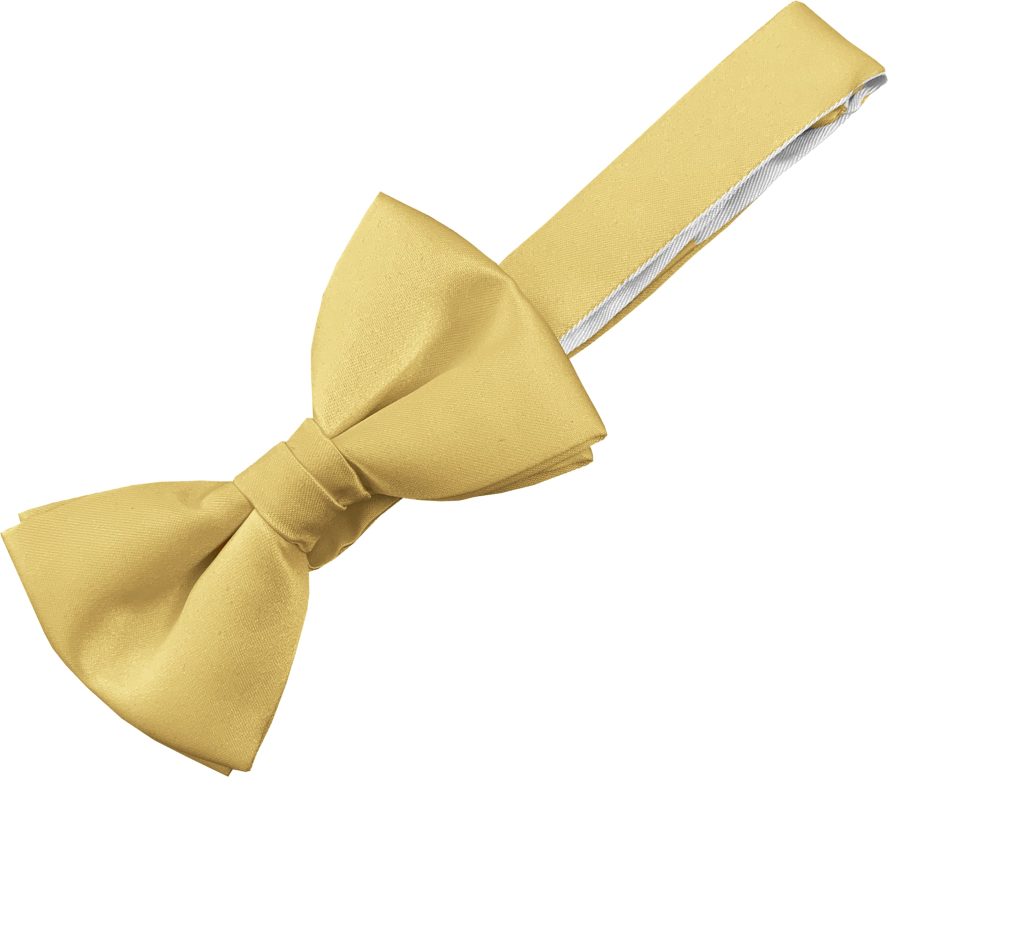 Satin Gold Italian Satin Wedding (Ready Tied) Bow Tie