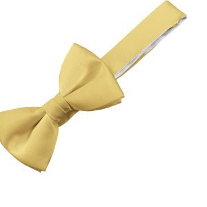 Satin Gold Italian Satin Wedding (Ready Tied) Bow Tie