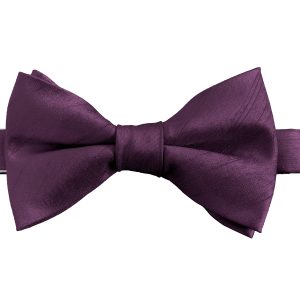 Prune Purple Dupion (Ready Tied) Bow Tie