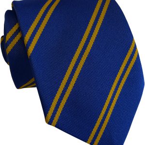 Royal Blue and Gold Double Stripe School Ties (Adult Reunion)